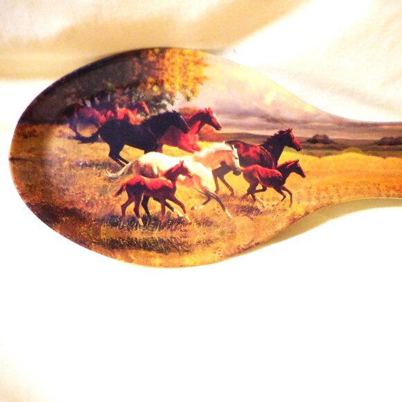 A TRUE WESTERN IMAGE ~ Collector's Spoon - Picture 2 of 2